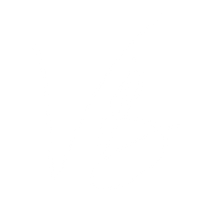 vblogo_white_quad