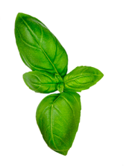 veg2