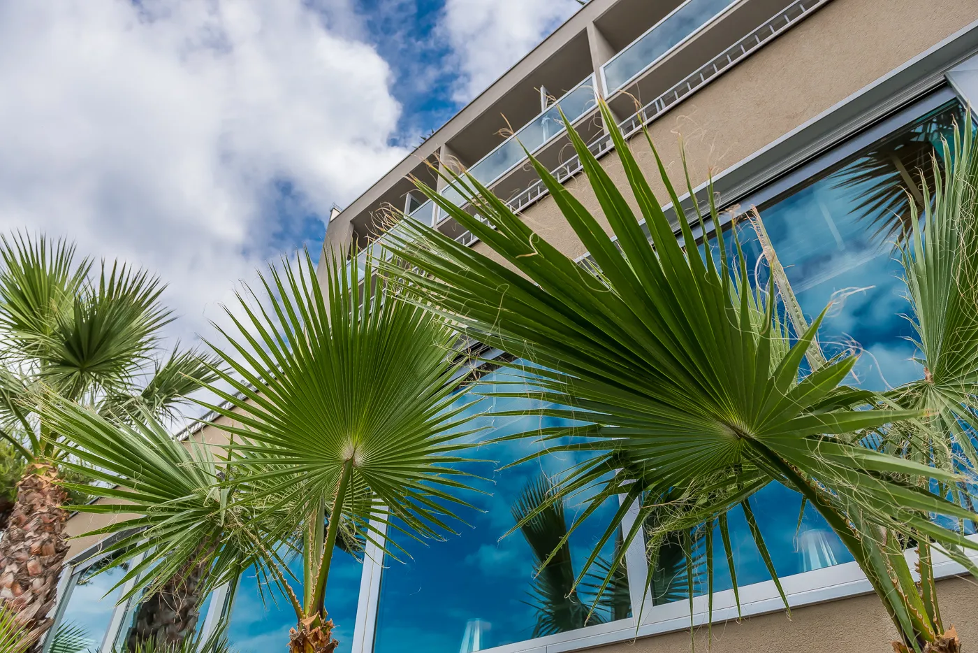 L’esterno dell’Hotel Miramare ripreso in grandangolo dal basso, attraverso le palme