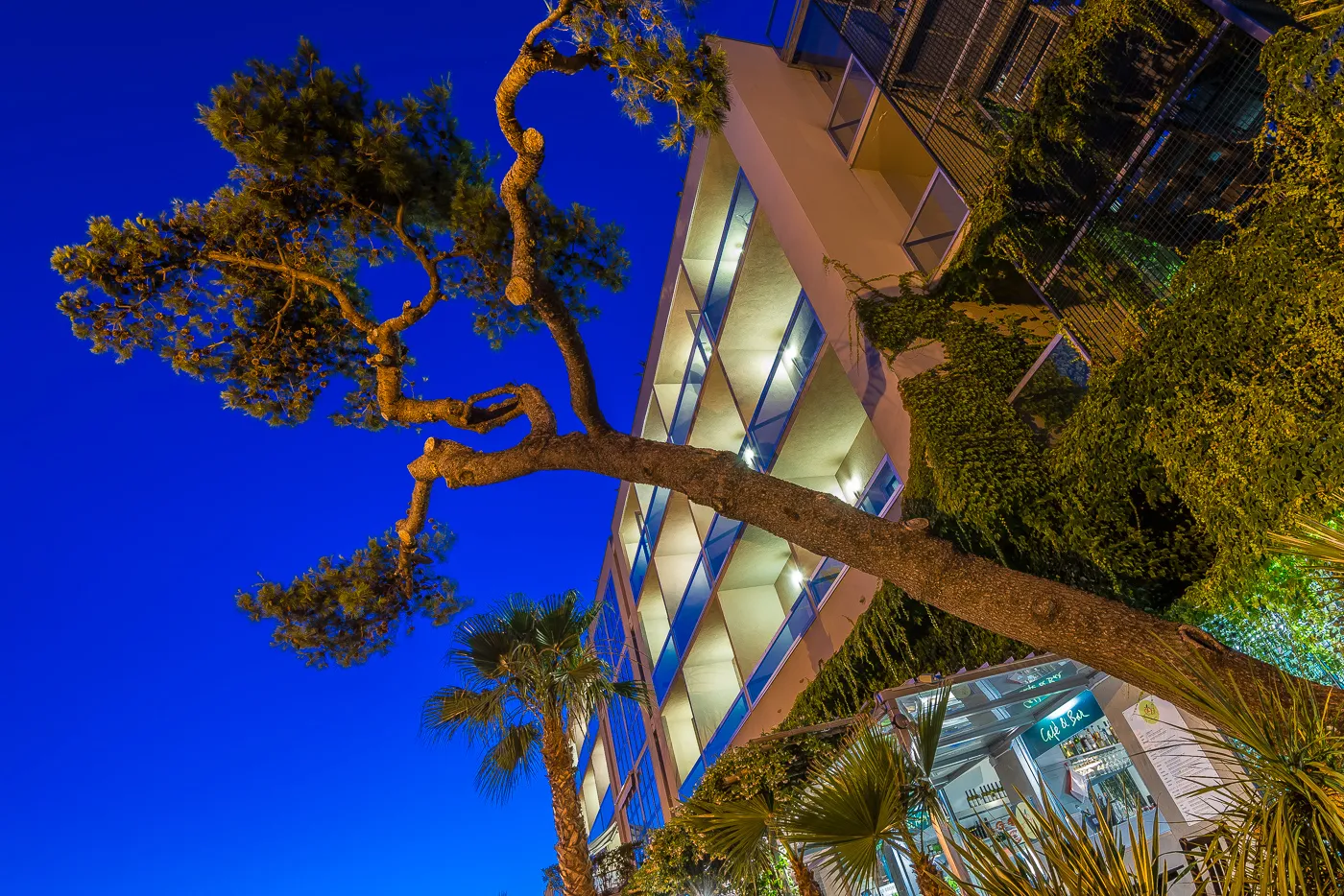 L’esterno dell’hotel all’ora blu, con il pino illuminato