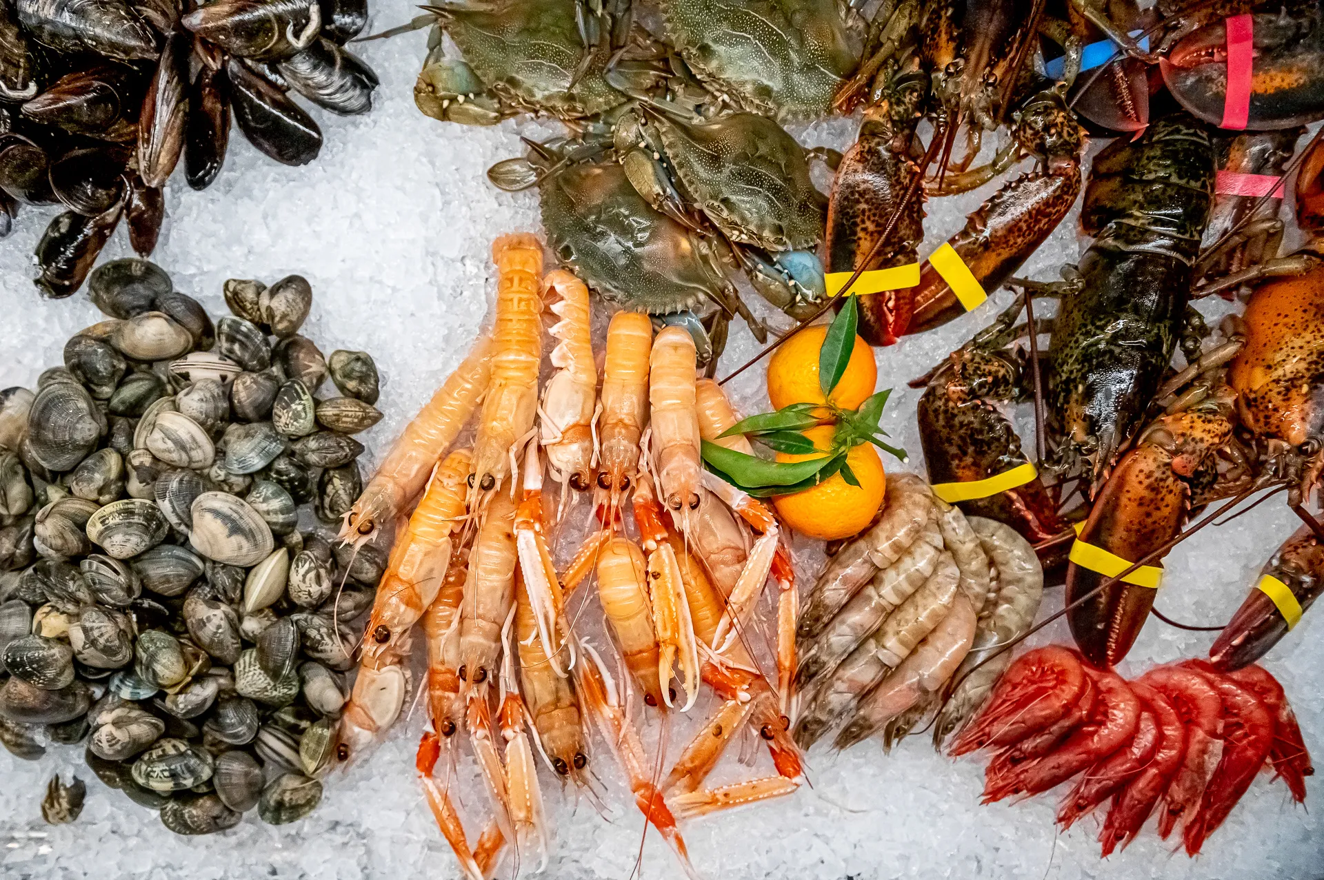 Il banco crudi di pesce: canocchie, scampi e astici sul ghiaccio